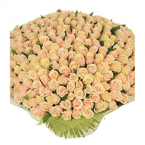 Букет из 301 кремовой розы 60 см