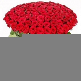 Букет из 51 розы №205