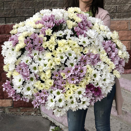 61 хризантема - Фото 2