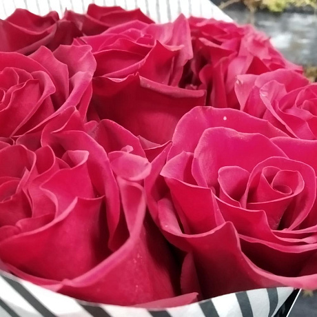 Букет  Моно из 9 роз - Фото 6