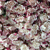 Букет цветов Кустовая нежность - Фото 6