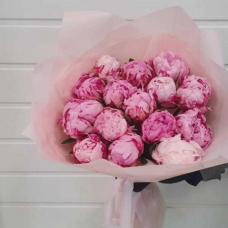 Букет из Пионов Сара Бернар 15шт №160 - Фото 2