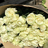 51 белая роза 70 см в крафте - Фото 2