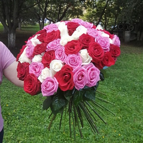 65 роз