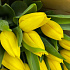 Букет из желтых тюльпанов №162 - Фото 6
