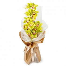 Букет из лимонной орхидеи Тропиканка