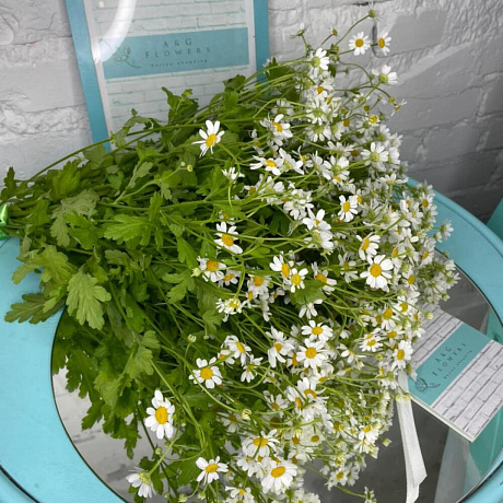 Ромашка 25 штук - Фото 4