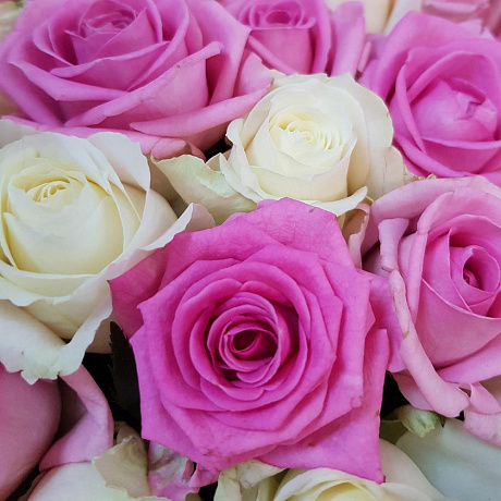 Букет из 51 розовой и белой розы №161 - Фото 5