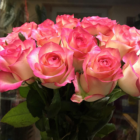 Букет из роз Джамила 17 шт №160 - Фото 2