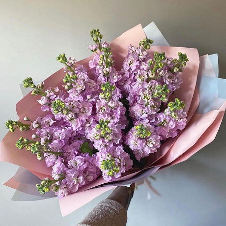 Букет цветов Душистая маттиола - Фото 4