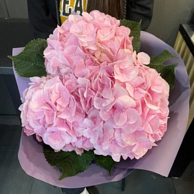 Букет "Зефир" №212