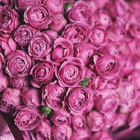 Большой букет из пионовидных кустовых роз Premium-класса Misty Bubbles (Мисти Бабблз) в дизайнерской упаковке - Фото 5