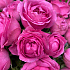 Коробка пионовидной кустовой розы Мисти баблс - Фото 3