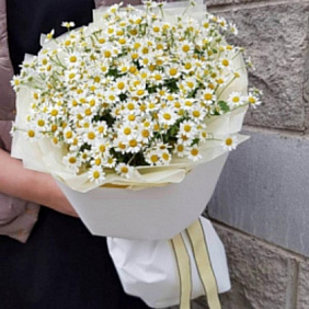 Букет из белых ромашек