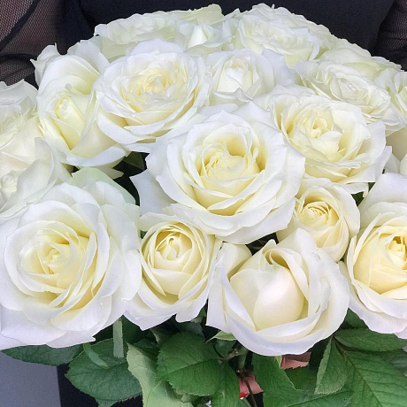 Роза белая 60 см - Фото 6