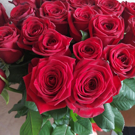 Букет из 25 бордовых роз №160 - Фото 5