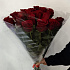 Темно красные розы - Фото 3