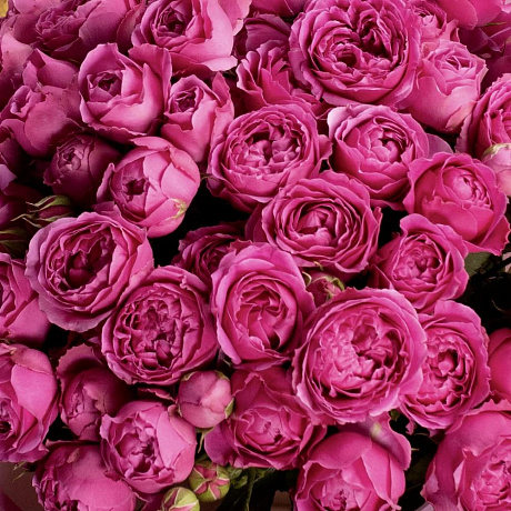 Букет цветов Мисти Баблз №160 - Фото 3