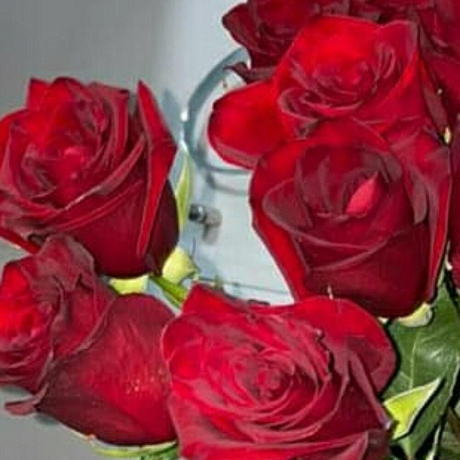 Букет бордовых роз - Фото 4