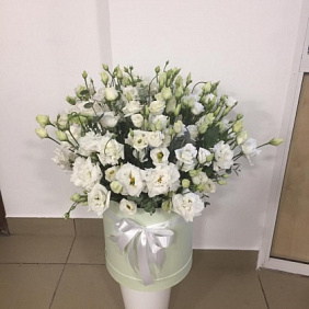 Цветы в коробке №805