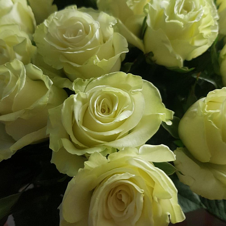 Букет из эквадорский роза - Фото 5