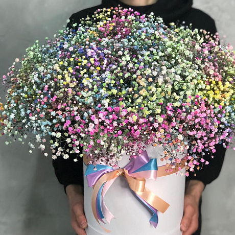 Радужный гифсофила в шляпные каробке - Фото 2