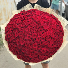 Букет из 201 Красной розы 160