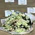 Кустовые розы. монобукет. N384 - Фото 6