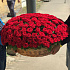 Корзины с цветами.  Красные Розы. 201 роза. N171 - Фото 1