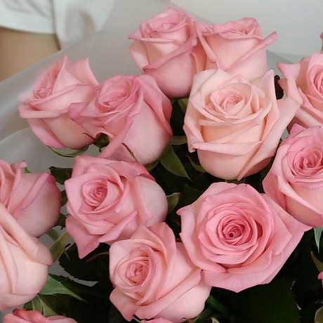 17 роз Казанова пр-во Россия - Фото 6