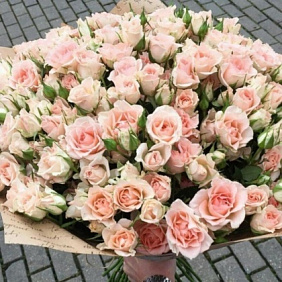 51 кустовая кремовая роза (50 см)