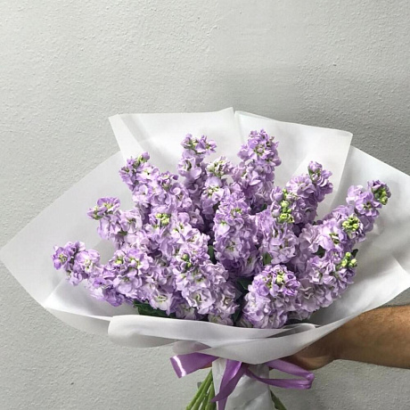 Маттиола голубая - Фото 3