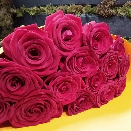 Букет Моно из 15 роз - Фото 2