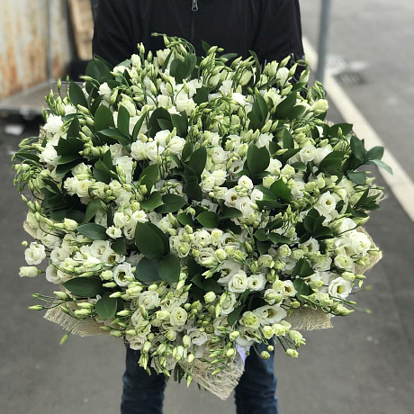 Букет из эустомы 99 шт с рускусом. N280 - Фото 2