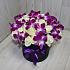 Белая роза с орхидеями 2 - Фото 1