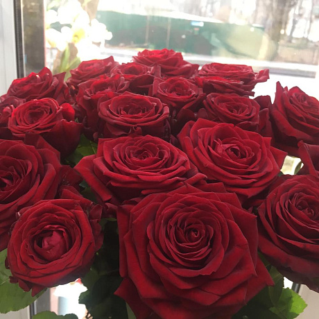 Букет бордовых роз 25 шт - Фото 3
