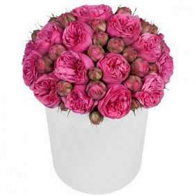 Букет из 23 пионовидных роз в средней шляпной коробке