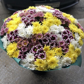 35 кустовых хризантем