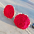 501 Красная роза №2 - Фото 1