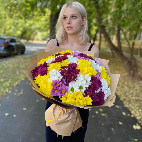 Букет 23 Очень свежие хризантемы кустовые микс «Любимая» - Фото 3