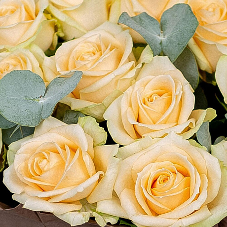 Букет кремовых роз №160 - Фото 3