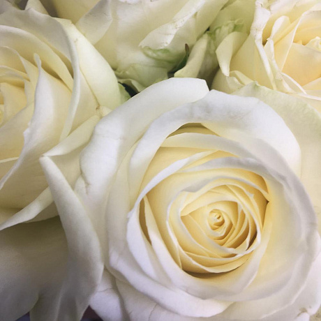 Букет цветов Compliment - Фото 3