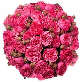 Букет из 29 пионовидных розы Пинк Пиано
