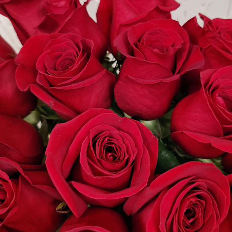 Букет 25 роз Эквадор 50см - Фото 6