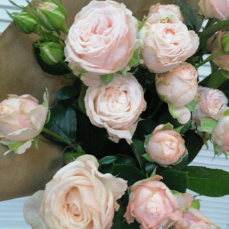 Розочка кустовая в крафте  - Фото 3