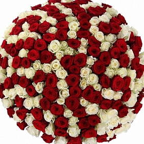 Букет из 301 белой и красной розы в корзине