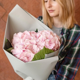 Букет из 3 розовых гортензий №3