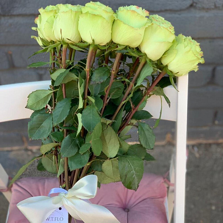 Монобукет 19 зеленых роз 60см - Фото 2