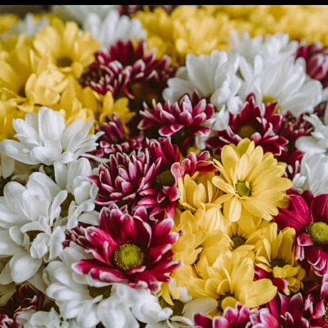Букет цветов Яркая клумба - Фото 3