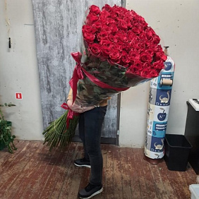 Роза гигант